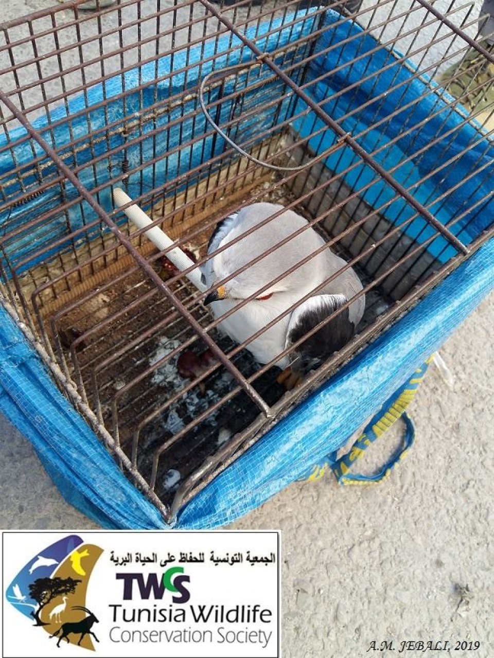 cas02-04032019-004