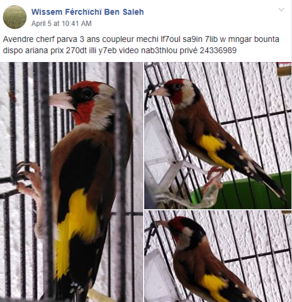 cas02-07042019-001