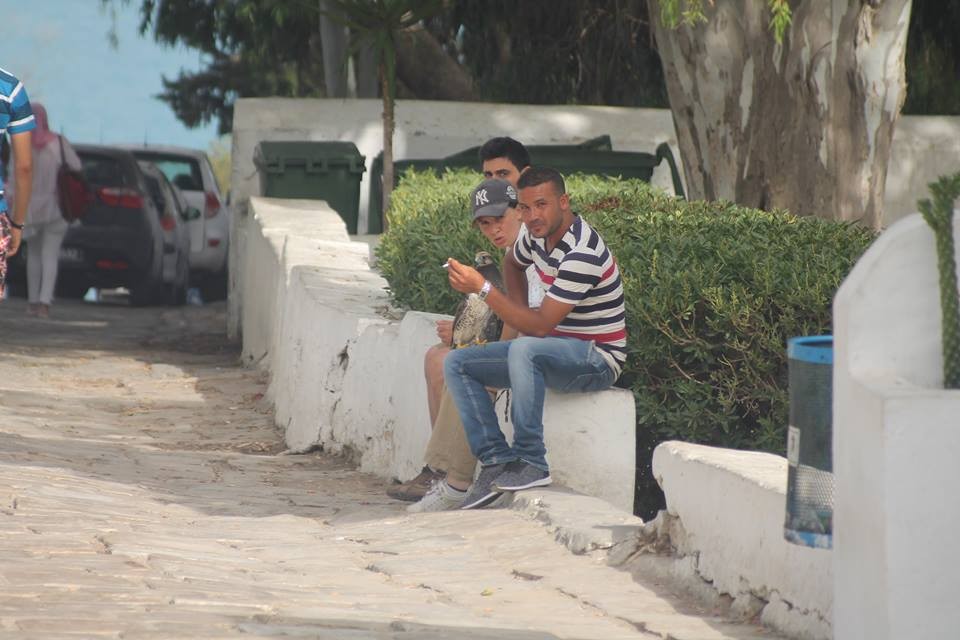 cas03-09072018-002