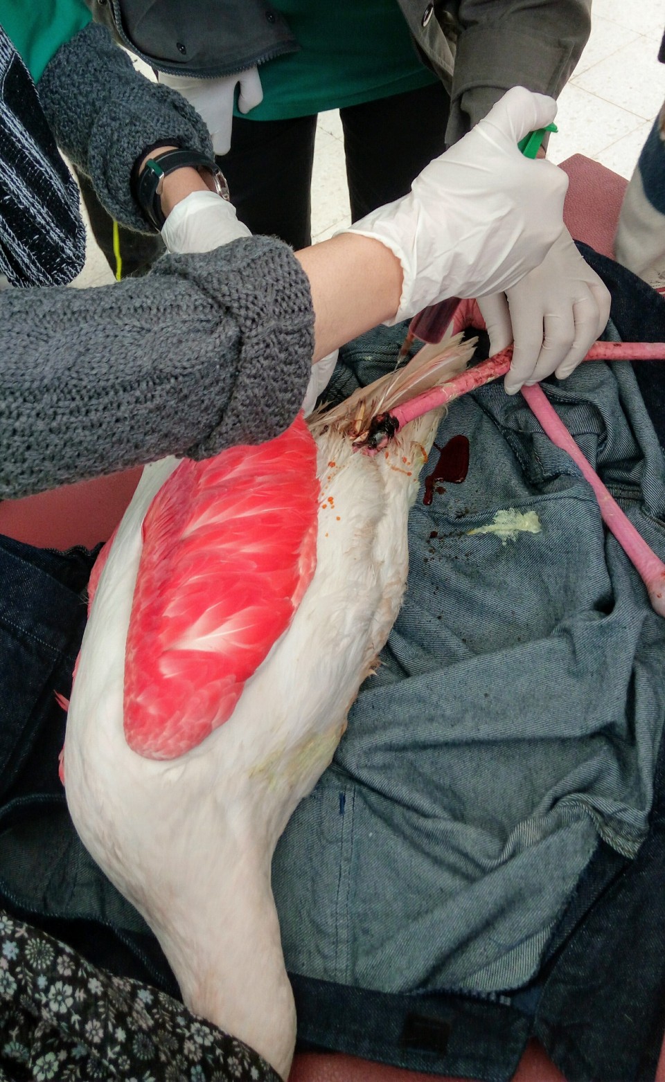 cas04-06012018-001