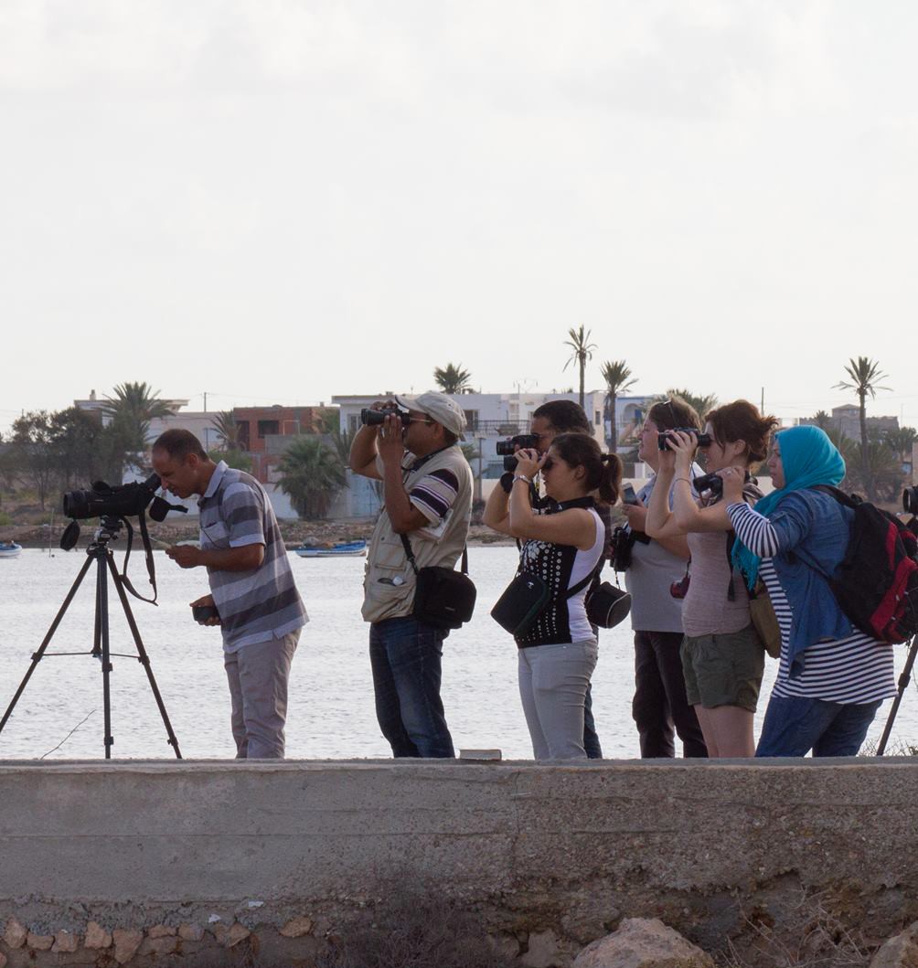 Présentation de  l’AAO / BirdLife Tunisie